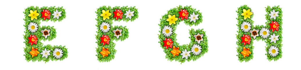 Fototapeta premium Letters E, F, G, H made of multi-colored flowers