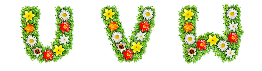 Letters U, V, W made of multi-colored flowers
