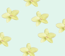 Yellow orchid flower pattern. Orchid flower background. Fabric pattern.