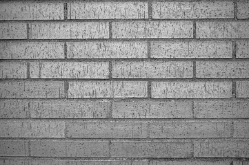 background composed of a brick wall in grayscale.