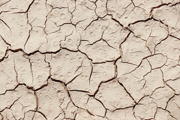 desert earth ground texture backdrop