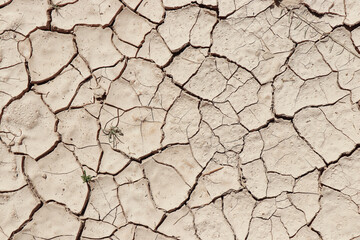 desert earth ground texture backdrop