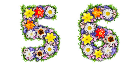 Numbers 5, 6 made in the form of a bouquet of flowers