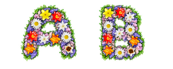 Letters A, B made in the form of a bouquet of flowers