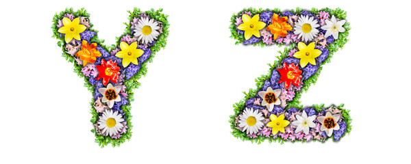 Letters Y, Z made in the form of a bouquet of flowers