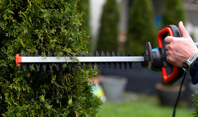 Gardener using an hedge clipper in the garden