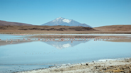 Fototapeta premium Salar de Uyuni Tour in Bolivia’s Altiplano