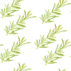 Rosemary watercolor by hand seamless pattern digital paper