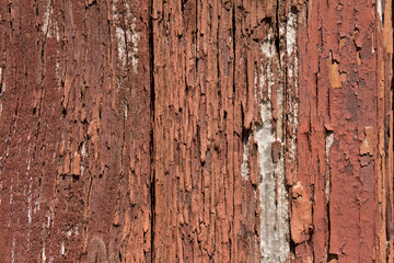Old painted and weathered wood. Resource for designers.
