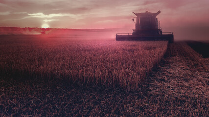 Mechanized harvesting of grain in an agricultural field. Bright, evening, summer landscape with a combine harvester at sunset. Idyllic rural background, wallpaper. Selective, soft focus. Tinted photo.