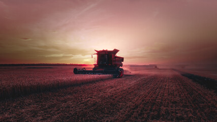 Fototapeta premium Mechanized harvesting of grain in an agricultural field. Bright, evening, summer landscape with a combine harvester at sunset. Idyllic rural background, wallpaper. Selective, soft focus. Tinted photo.
