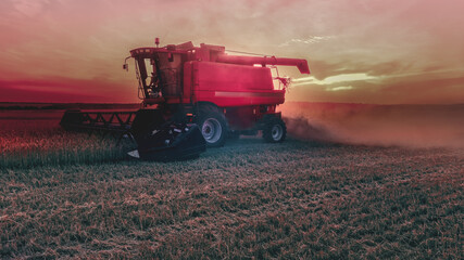 Mechanized harvesting of grain in an agricultural field. Bright, evening, summer landscape with a...