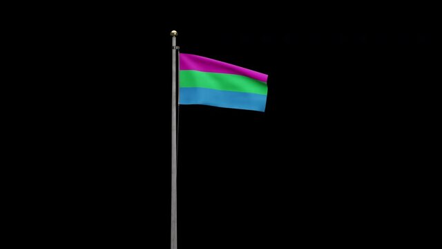 3D, Alpha channel zoom Polysexuality flag waving on wind. Polysexual banner blowing, soft and smooth silk. Cloth fabric texture ensign background. Use it for pride gay day and events concept.-Dan