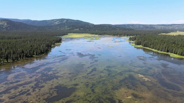 Transparent Lake in National Forest Out West America Summer.
