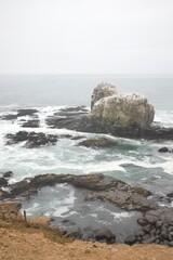 Fototapeta na wymiar Playa de Chile, Punta de Lobos.