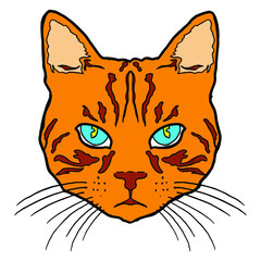 illustration of a cat