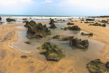 view of the beach