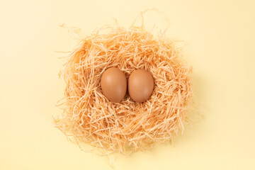 chicken eggs in bird's-nest on yellow background