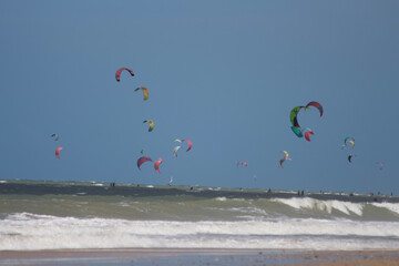 kite on the beach