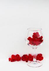 Red flowers and buds in a transparent glass on a white background. Vertical position. Free space for text.