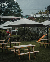 lounge chairs and umbrellas 
