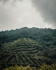 clouds over the mountains