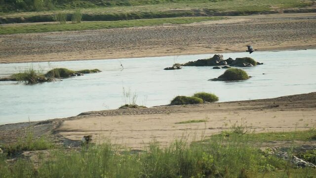 Olifant River, Limpopo, South Africa