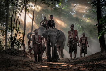 Lifestyle images of the mahouts (elephant keeper) group in the Surin province in Thailand. - obrazy, fototapety, plakaty