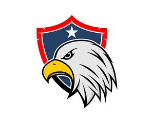 Eagle head in the american shield logo