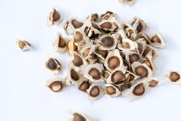 Seed Horse radish tree (Moringa oleifera Lam.) on white background
