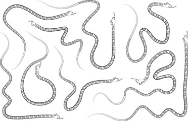 vector cartoon snake set background