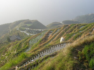 Fototapeta na wymiar Rural scene around the village of Ping'an and the Longji Rice Terraces, Longsheng, China.