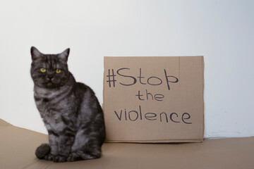 The cat asks to stop the violence against animals. Cardboard sign with the words Stop Violence....