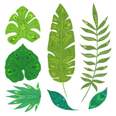 Set of tropical leaves with folk pattern. Vector natural design element. Banana, monstera, palm and liana. Vector hand drawn flat foliage with decoration for article, invitation and card.