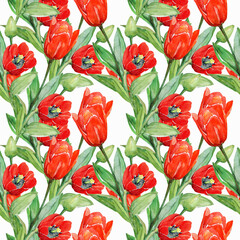 Red tulips seamless pattern.Image on a white and colored background.