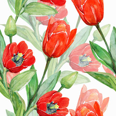 Red tulips seamless pattern.Image on a white and colored background.