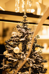 Advent in Wiener Neustadt