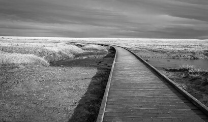 Borad walk over Dunster Marsh