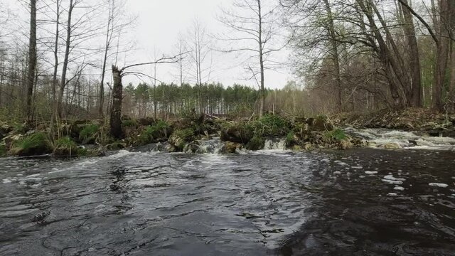 The view from the kayak from the water to the small rapids in the forest river. High quality FullHD 50 fps footage