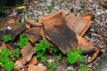 Broken terracotta flower pots on nature background.