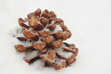 in winter big bump in the snow 