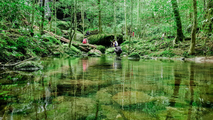 Traveller and photographer are taking the photo of waterfall, Clear river with green rocks and trees above the water surface, Nature leaves shadow over the river in the dark forest