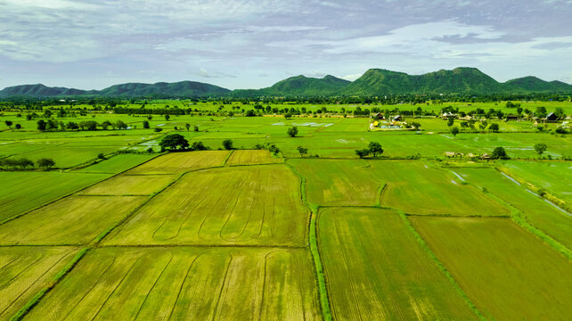Aerial view of green rice field terrace in Thailand, Beatiful landscape view of green paddy fields with mountain