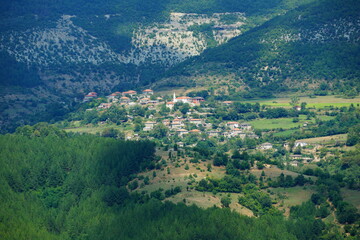 Little village in the forest