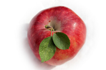 red ripe apple with green leaf