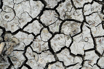 Dry soil, The soil was cracked because it was dry without water. It does not rain seasonally.