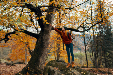 happy traveler climbed a tall stone near a tree and gestures with her hands fun emotions park