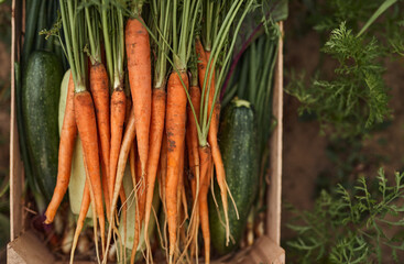 Fresh vegetables in wooden box in countryside