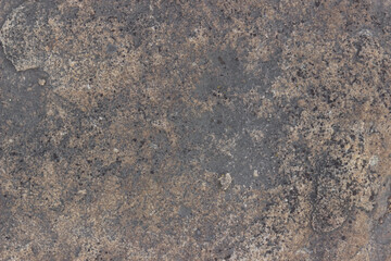 Rock texture. Big spotted brown stone