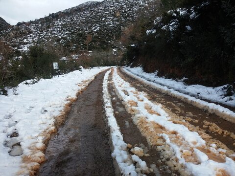 nieve, camino, dificil, dificultad, olesa de montserrat, barcelona, montserrat, frio, inospito, pasar, luchar